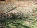 Img_3200.jpg